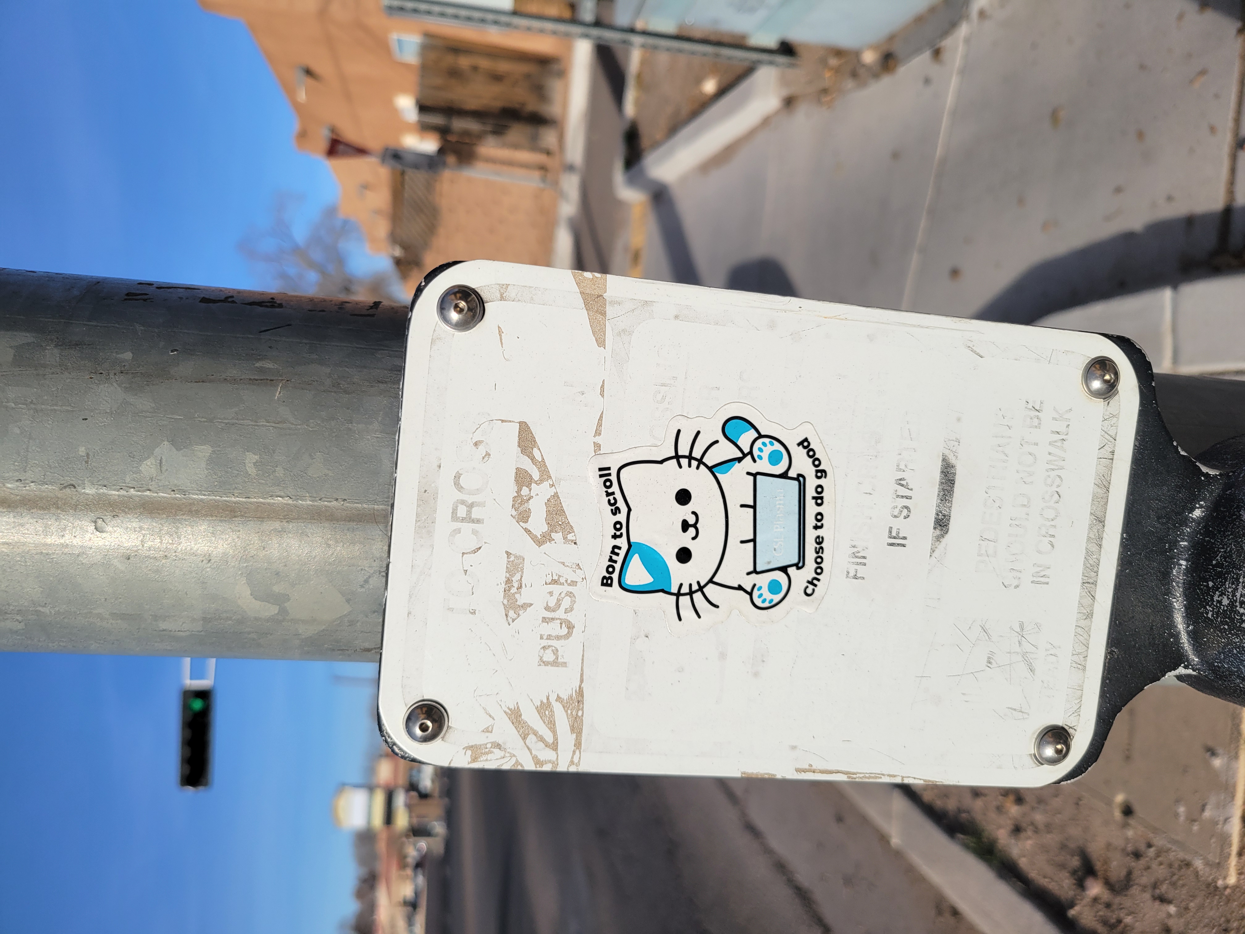 Sticker of a cat on a laptop that says born to scroll, choose to do good on a cross light sign.